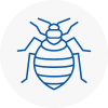 Bed Bug Extermination In Great Yarmouth