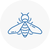 Bee Nest Removal Great Yarmouth