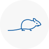 Mice Exterminators In Great Yarmouth
