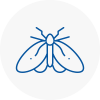 Moth Control Specialists In Great Yarmouth